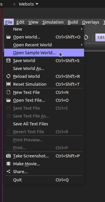 Webots Simulator New Sample World
